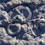 Charmante Maison Du Village A Vakantiehuis