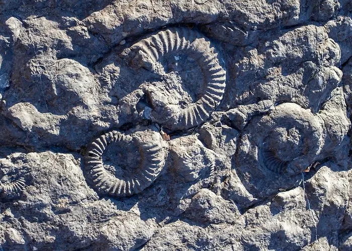 Charmante Maison Du Village à Hébergement de vacances