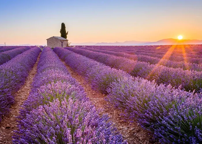 Hébergement de vacances Charmante Maison Du Village à Mirabeau (Alpes-de-Haute-Provence)
